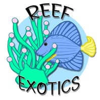 Reefexotics