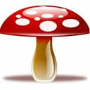 Reindeeramanita