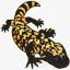 Reptile Rapture