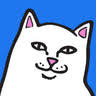 Ripndip