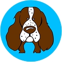 Rover Pet Products