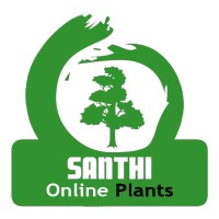 Santhi Plant Biotech