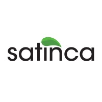Satinca