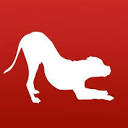 School For Dogs