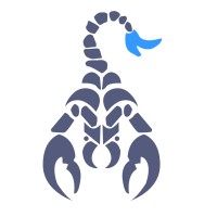 Scorpion Shoes