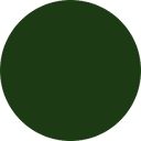 Seed