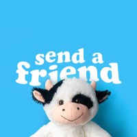 SendAFriend ✨