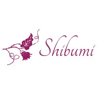 Shibumi Style
