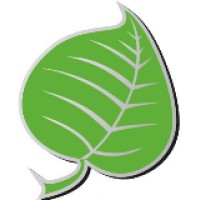 Silver Lining Herbs