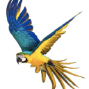 Sky Birds Pet Store