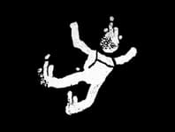 SkyGoons