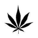 Smokebestplug