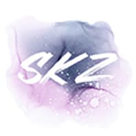 Sneakeaze Customs SKZ
