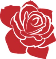Sparkly Roses