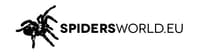 Spiders World
