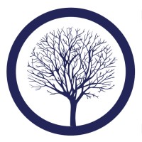 Springtree Media Group