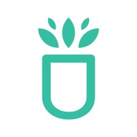 Succulentsbox