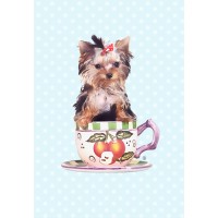 TeaCups, Puppies and Boutique