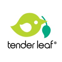 Tender Leaf Toys