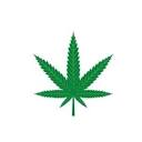 THC Weed Flowers