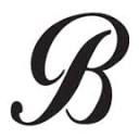 The Brannock Device Co Inc