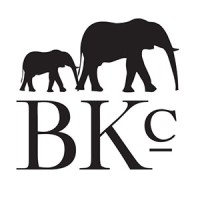 The Brooklyn Circus