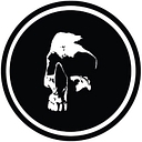 The Darkside Initiative