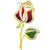 The Eternity Rose