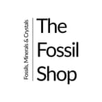 The Fossil Shop