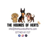 The Hounds Of Herts