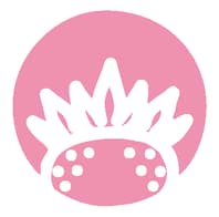 The Ichigo Shop