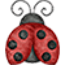 The Little Ladybug Shop