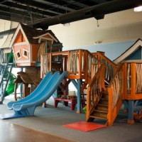 The Monkeys Treehouse