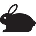 The Organic Bunny Box