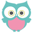 The Owl Teacher