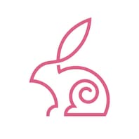 The Pink Rabbit