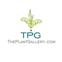 The Plant Gallery