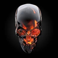 The Skull Computer Company