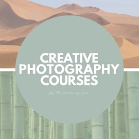 The Wandering Lens
