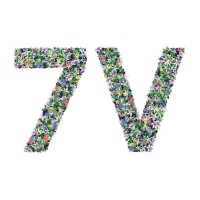 The 7 Virtues