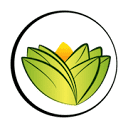 The Ayurveda Experience