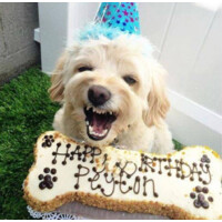 TheDogBakery