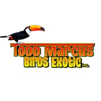 Todd Marcus Birds Exotic