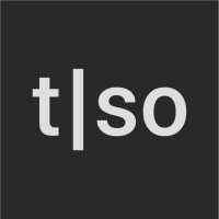 Torso Electronics