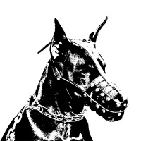 Underground Underdogs