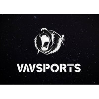 VAVsports