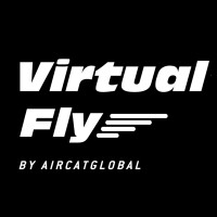 Virtual Fly Simulators