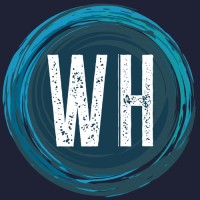 Weekly Hype