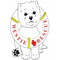 Westie Rescue