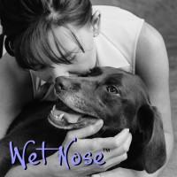 Wet Nose